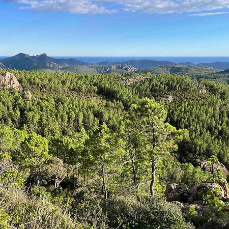 Villa Ormarine, Vue Exceptionnelle Sur La Baie De Cannes Et Le Mercantour Les Adrets-de-l'Esterel Exterior foto
