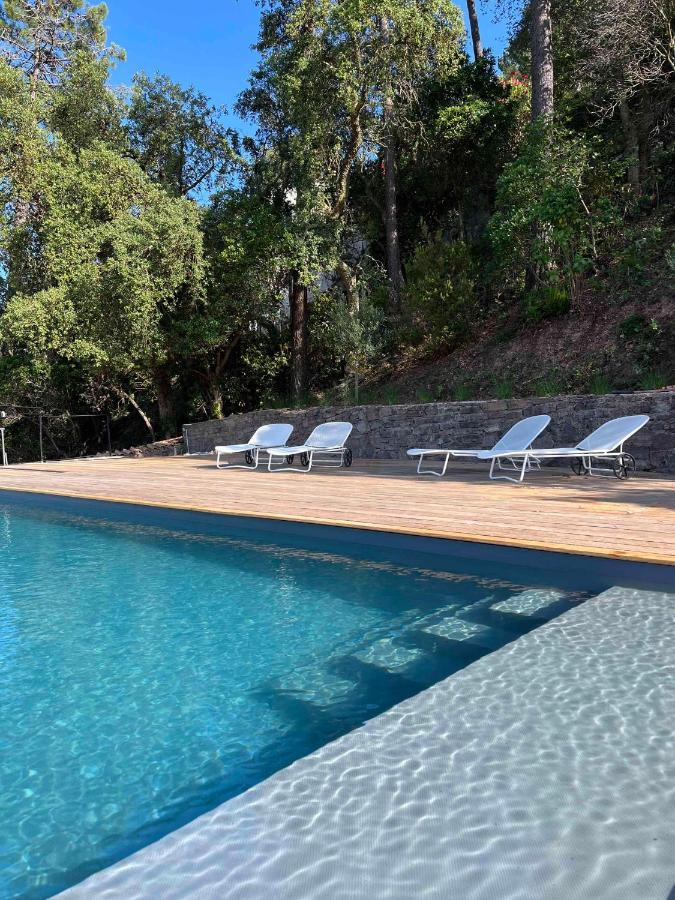 Villa Ormarine, Vue Exceptionnelle Sur La Baie De Cannes Et Le Mercantour Les Adrets-de-l'Esterel Exterior foto