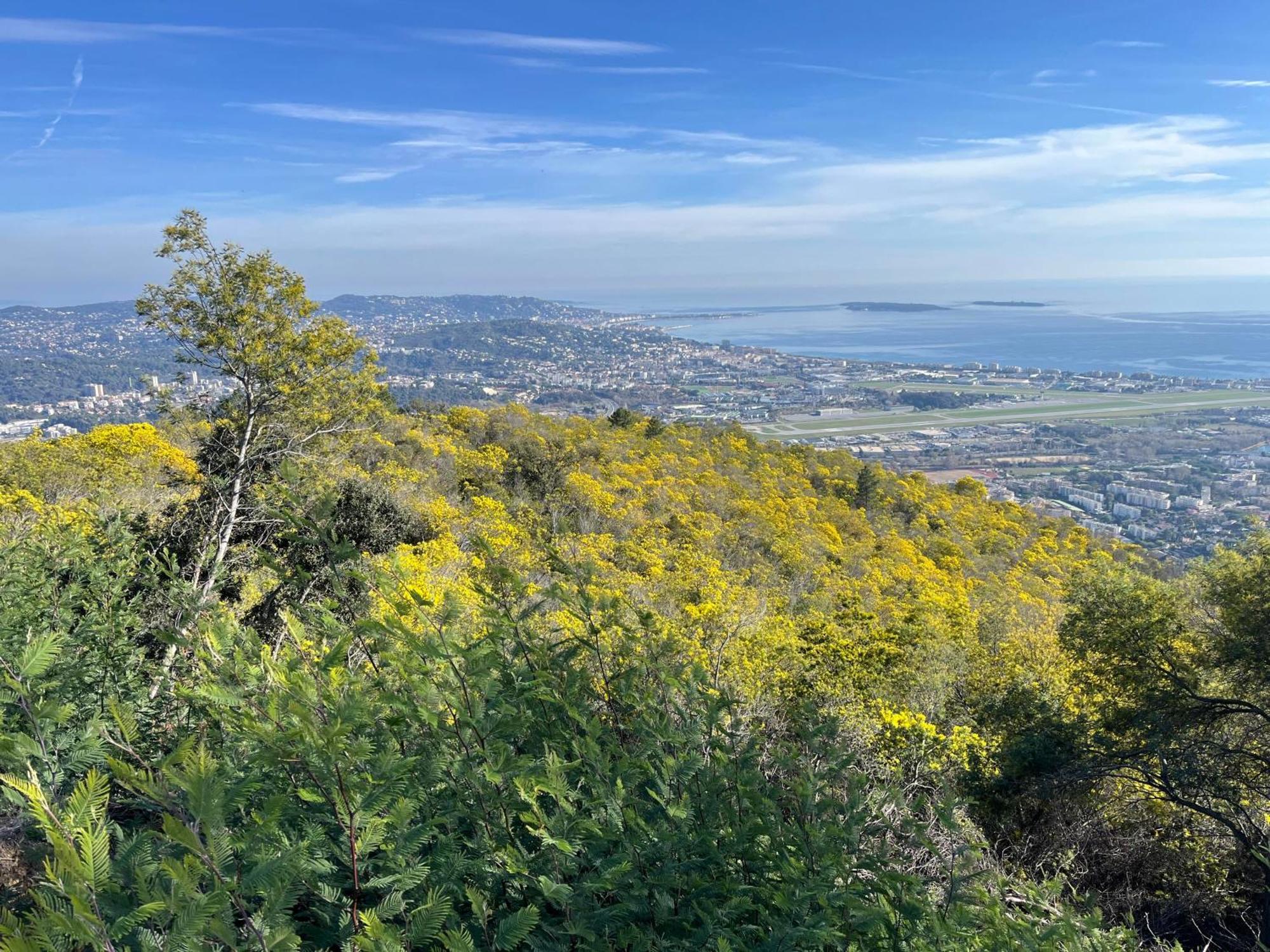 Villa Ormarine, Vue Exceptionnelle Sur La Baie De Cannes Et Le Mercantour Les Adrets-de-l'Esterel Exterior foto