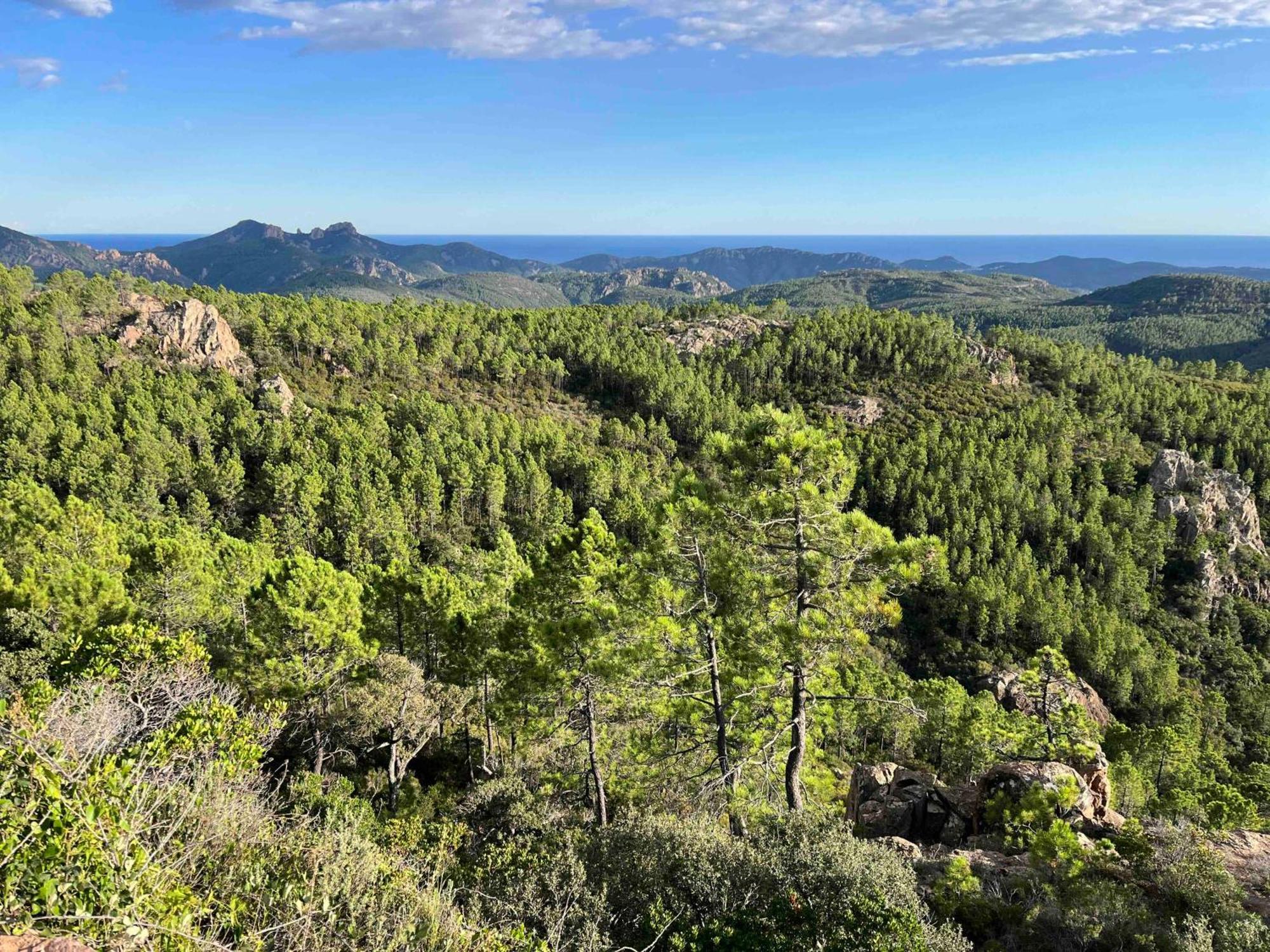 Villa Ormarine, Vue Exceptionnelle Sur La Baie De Cannes Et Le Mercantour Les Adrets-de-l'Esterel Exterior foto